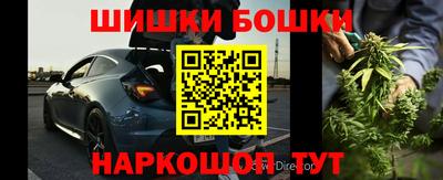 СК Лесосибирск