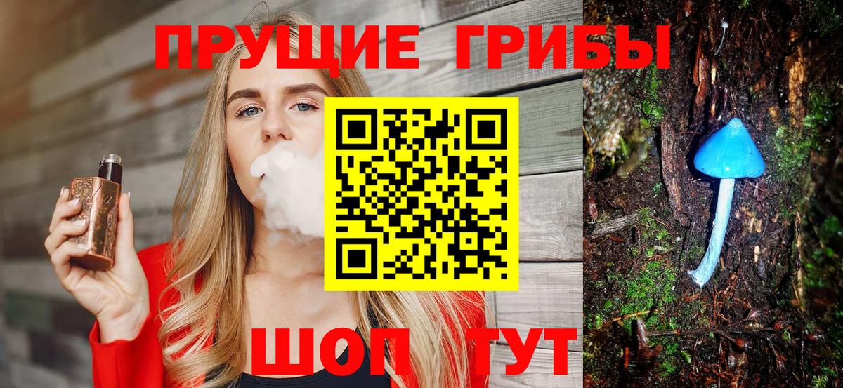Галлюциногенные грибы Magic Shrooms  Вход с VPN  Екатеринбург  Галлюциногенные грибы Cubensis 