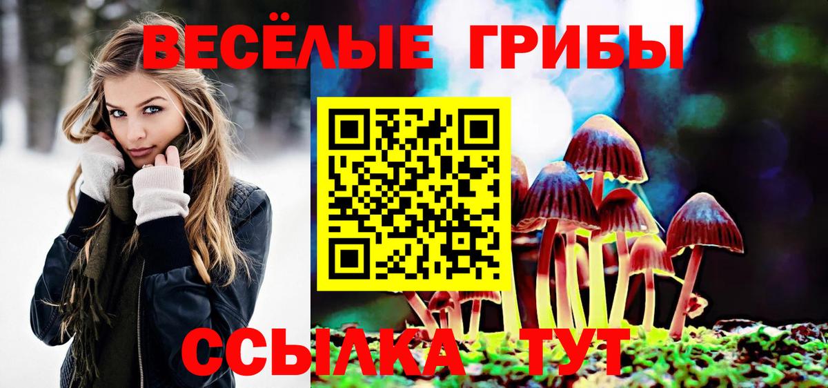 Псилоцибиновые грибы Magic Shrooms Екатеринбург