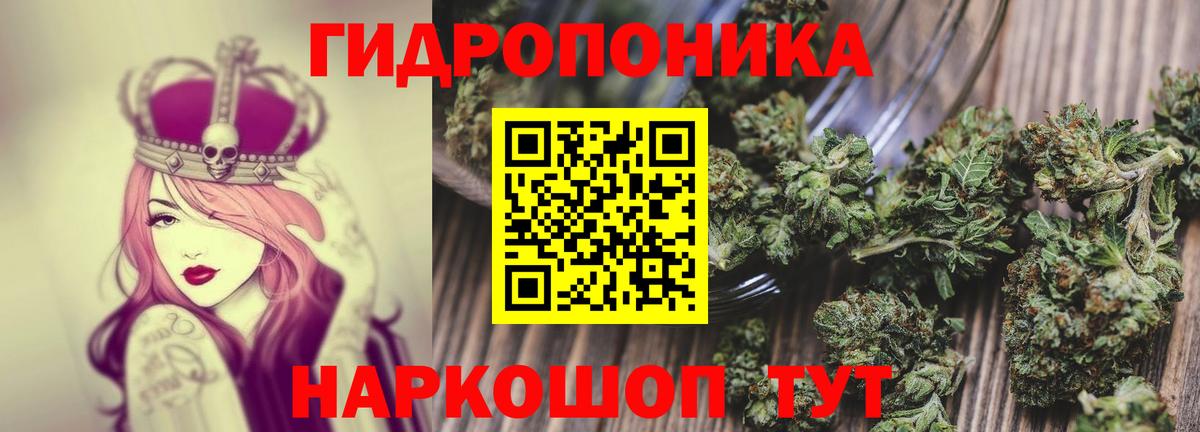 Каннабис индика Екатеринбург